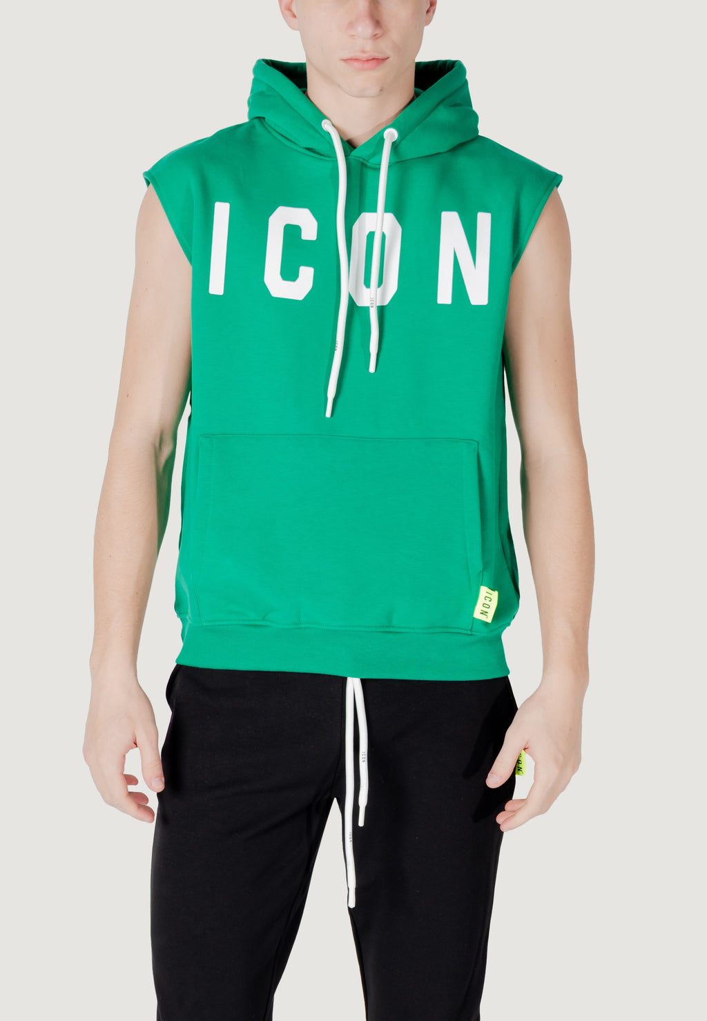 Hoodie Icon ICUS2S5F020