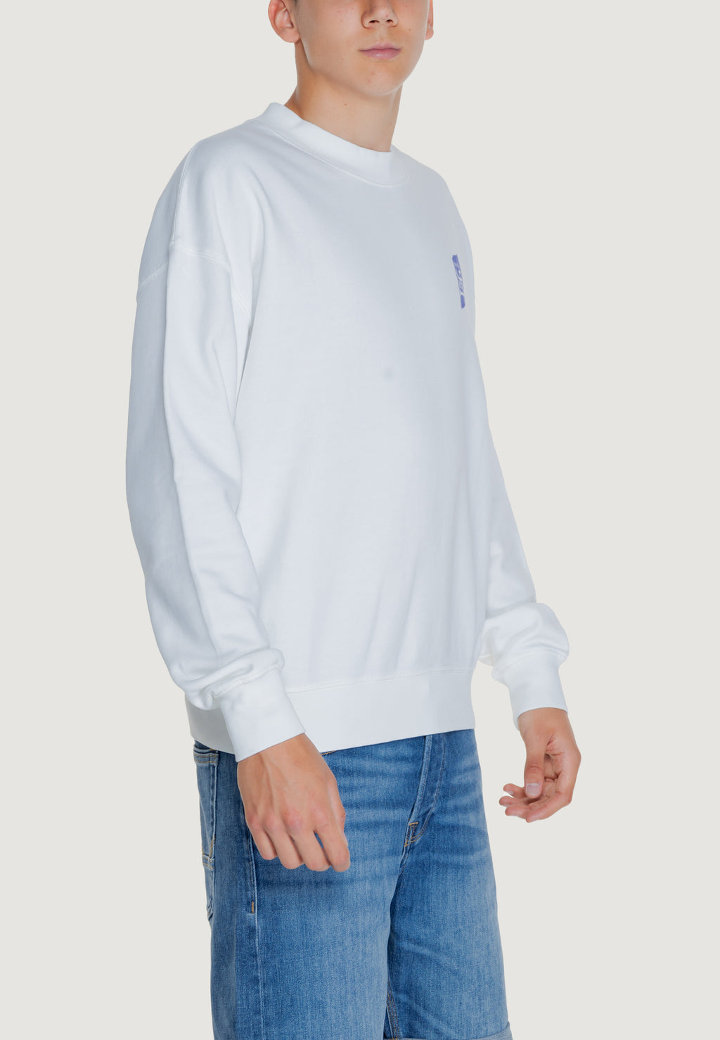 Felpa senza cappuccio Replay COTTON FLEECE